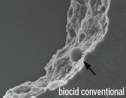 biocid-conventional