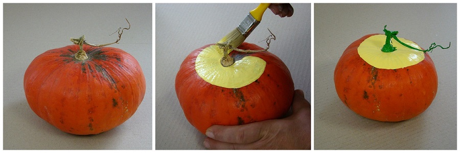 colaj bostan vopsiti cu duraziv fara miros pentru halloween